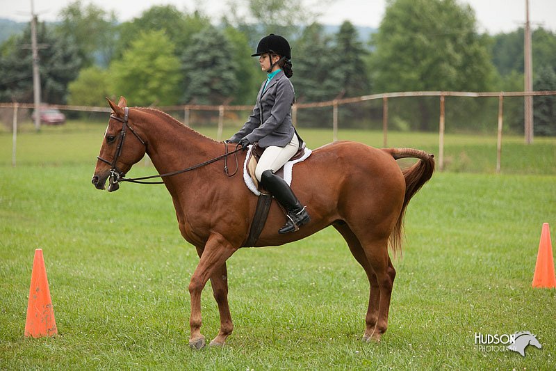 4H-1st-Show-11_1728.jpg
