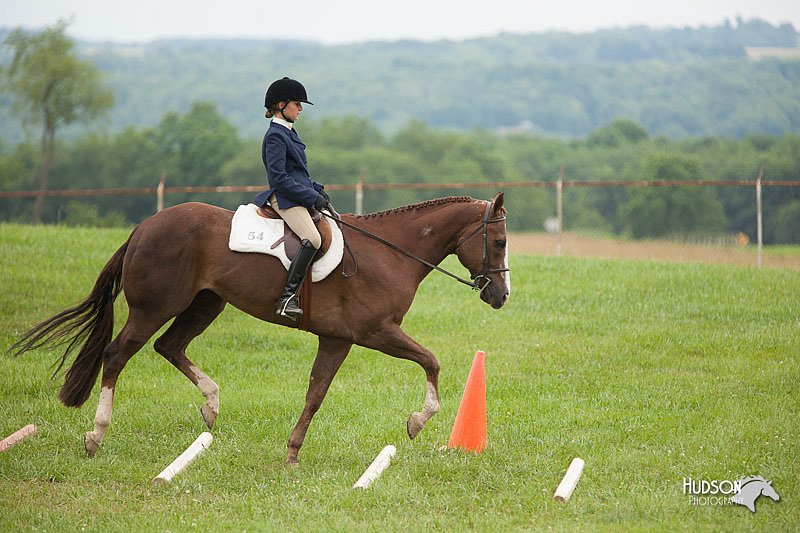 4H-1st-Show-11_1732.jpg