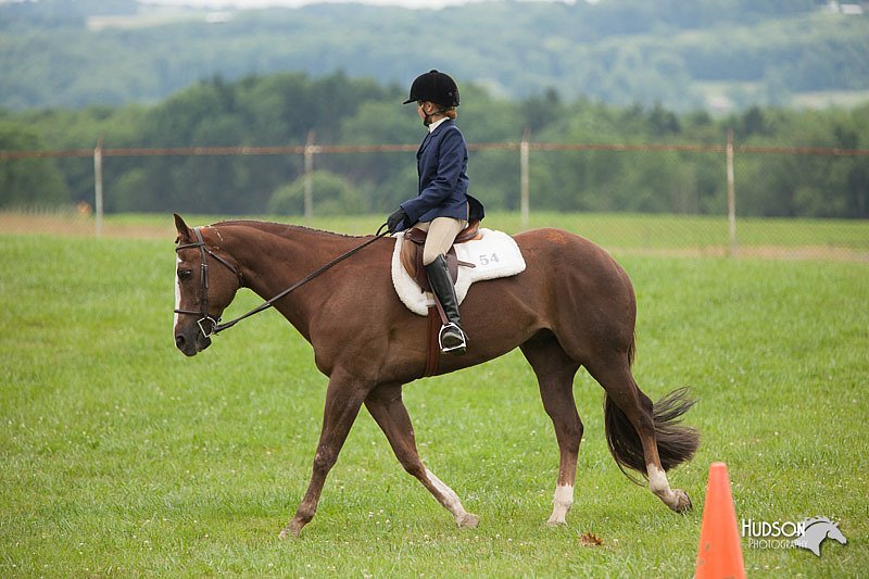 4H-1st-Show-11_1733.jpg