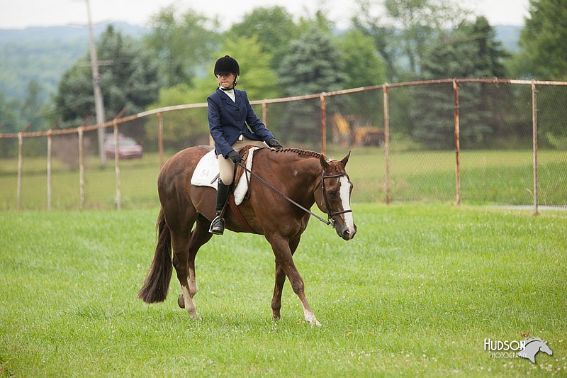 4H-1st-Show-11_1735.jpg
