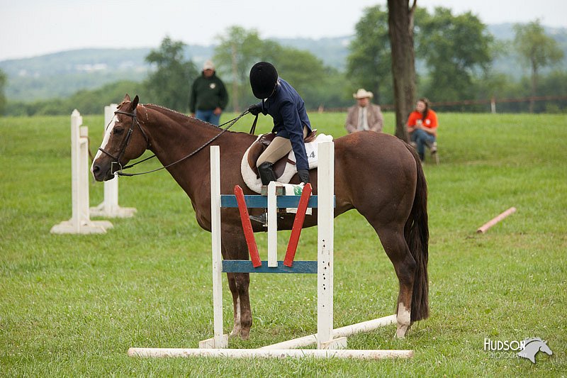 4H-1st-Show-11_1738.jpg