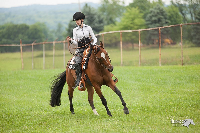 4H-1st-Show-11_1746.jpg