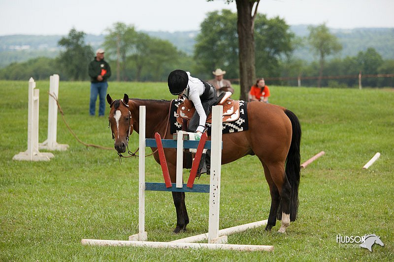 4H-1st-Show-11_1751.jpg