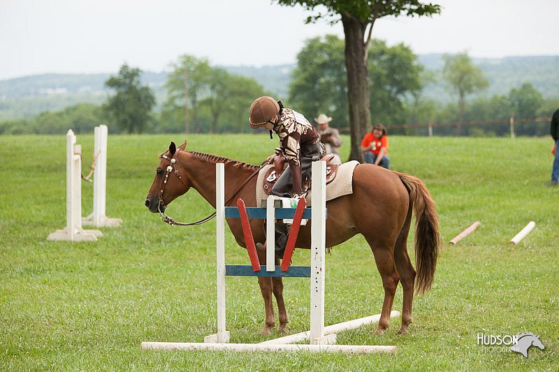 4H-1st-Show-11_1768.jpg