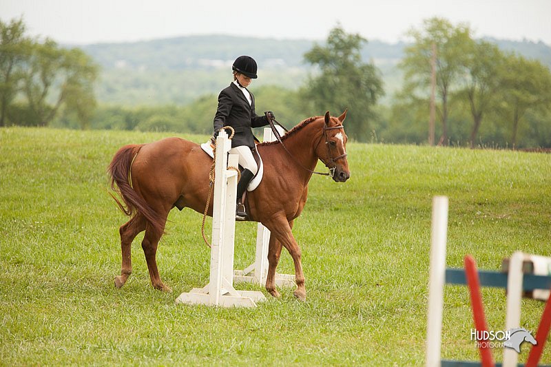 4H-1st-Show-11_1793.jpg