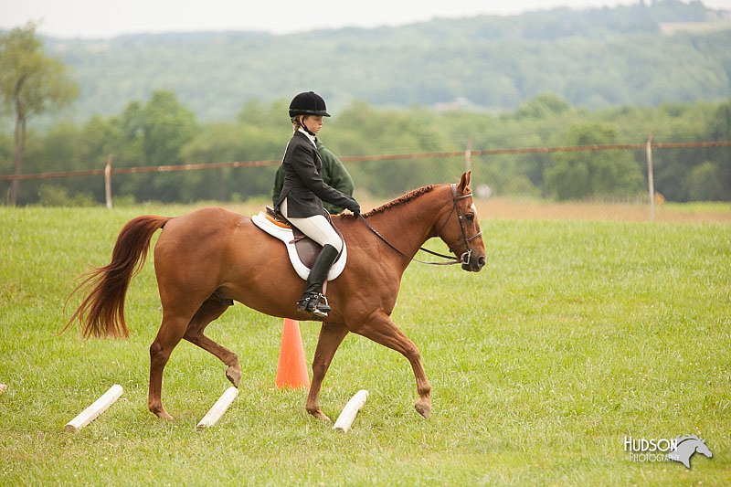 4H-1st-Show-11_1794.jpg