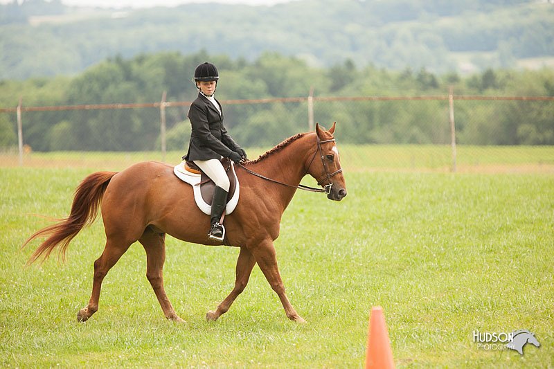 4H-1st-Show-11_1795.jpg