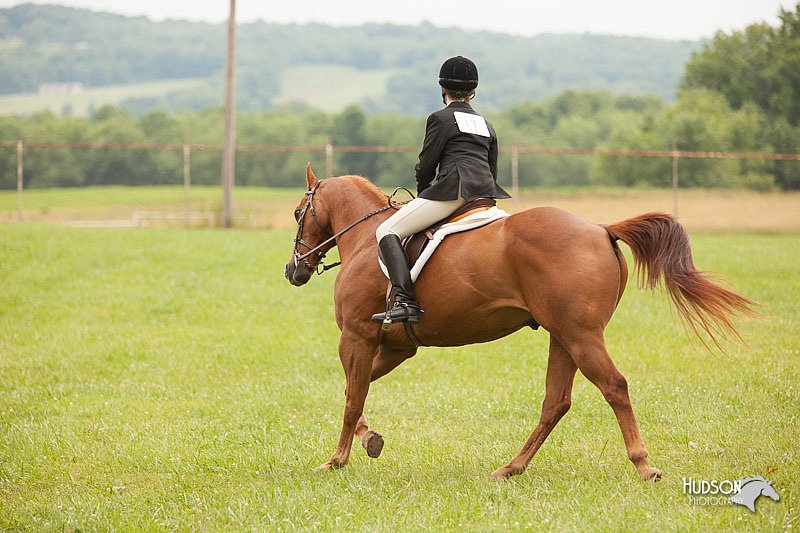 4H-1st-Show-11_1799.jpg