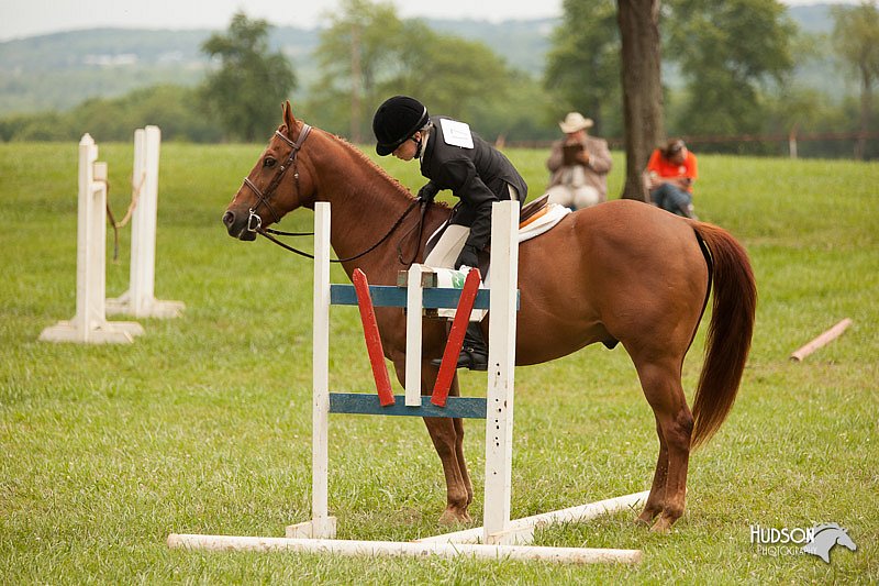4H-1st-Show-11_1801.jpg
