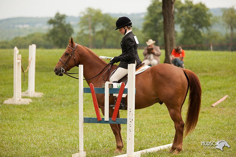 4H-1st-Show-11_1802.jpg