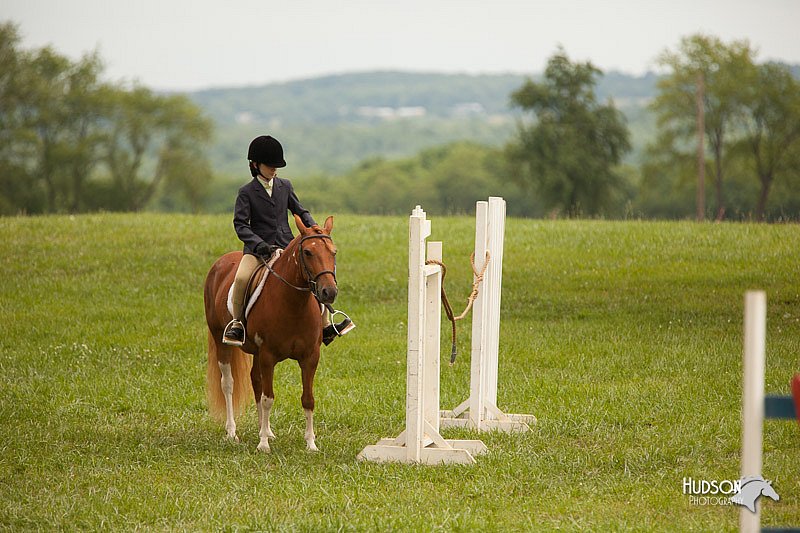 4H-1st-Show-11_1803.jpg