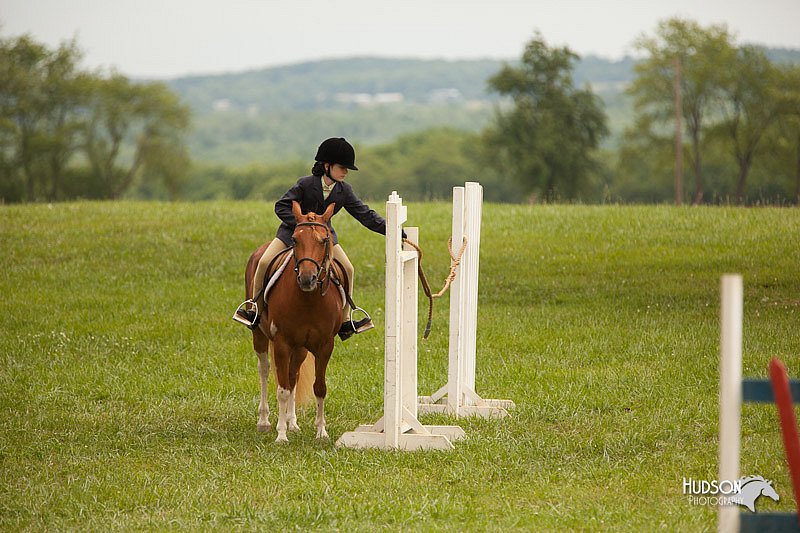 4H-1st-Show-11_1804.jpg