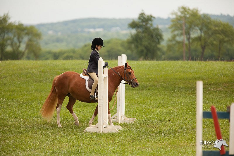 4H-1st-Show-11_1805.jpg