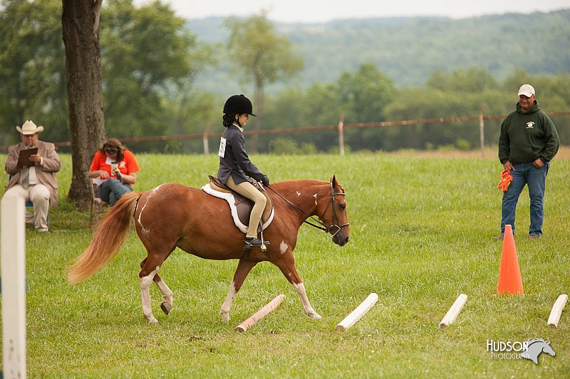 4H-1st-Show-11_1806.jpg