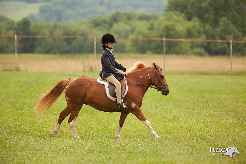 4H-1st-Show-11_1809.jpg