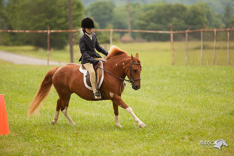 4H-1st-Show-11_1810.jpg