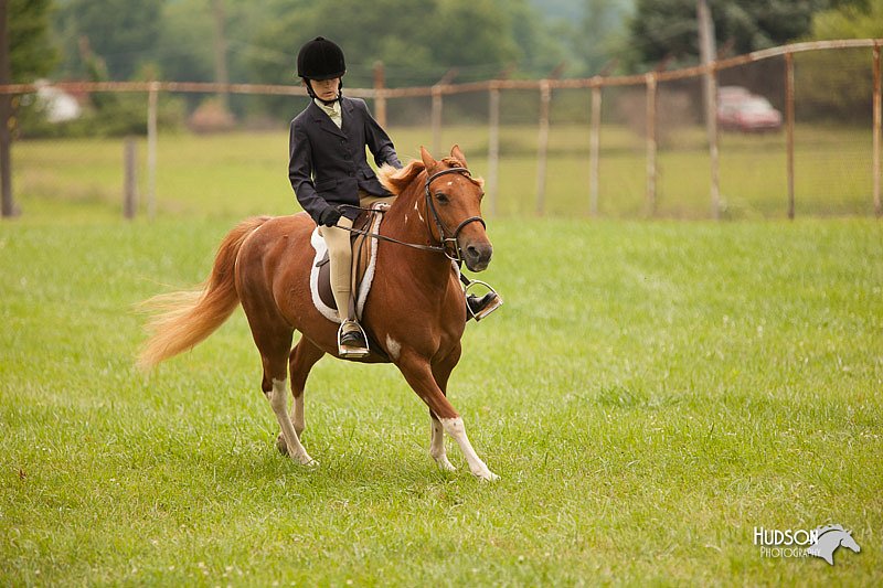 4H-1st-Show-11_1811.jpg