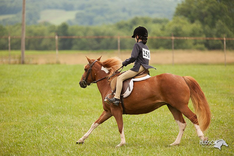 4H-1st-Show-11_1812.jpg