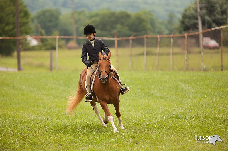 4H-1st-Show-11_1813.jpg