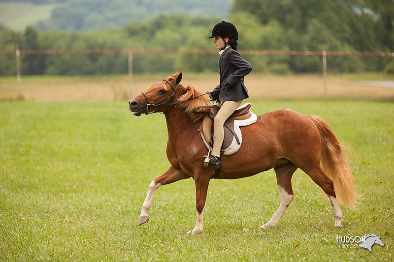 4H-1st-Show-11_1814.jpg