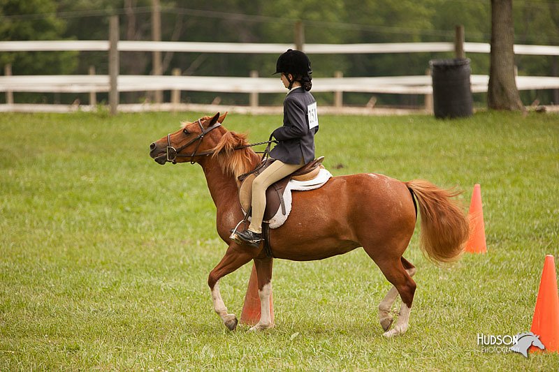 4H-1st-Show-11_1815.jpg