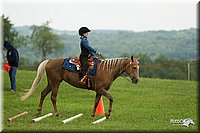 4H-1st-Show-11_1496.jpg