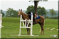 4H-1st-Show-11_1502.jpg