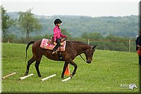 4H-1st-Show-11_1506.jpg