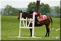4H-1st-Show-11_1512.jpg