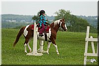 4H-1st-Show-11_1515.jpg