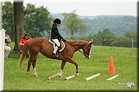 4H-1st-Show-11_1528.jpg