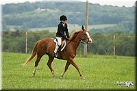 4H-1st-Show-11_1530.jpg