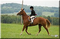 4H-1st-Show-11_1533.jpg