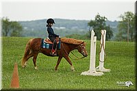 4H-1st-Show-11_1561.jpg