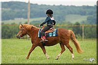 4H-1st-Show-11_1570.jpg