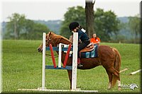 4H-1st-Show-11_1573.jpg