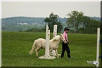 4H-1st-Show-11_1594.jpg