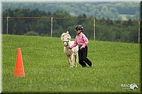 4H-1st-Show-11_1596.jpg