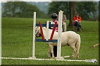 4H-1st-Show-11_1600.jpg