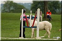 4H-1st-Show-11_1602.jpg