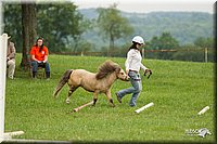 4H-1st-Show-11_1607.jpg