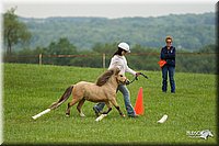 4H-1st-Show-11_1608.jpg