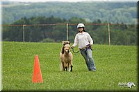 4H-1st-Show-11_1609.jpg