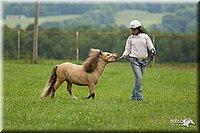 4H-1st-Show-11_1610.jpg