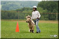 4H-1st-Show-11_1611.jpg