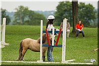 4H-1st-Show-11_1613.jpg