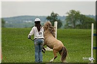 4H-1st-Show-11_1615.jpg
