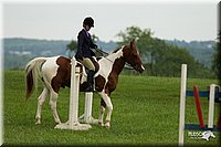 4H-1st-Show-11_1621.jpg