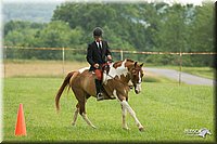 4H-1st-Show-11_1694.jpg