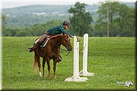 4H-1st-Show-11_1700.jpg